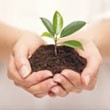 La prise des pouls & Le diagnostic de la langue en naturopathie
