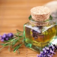 Aromathérapie & ORL : réviser, comprendre et pratiquer !